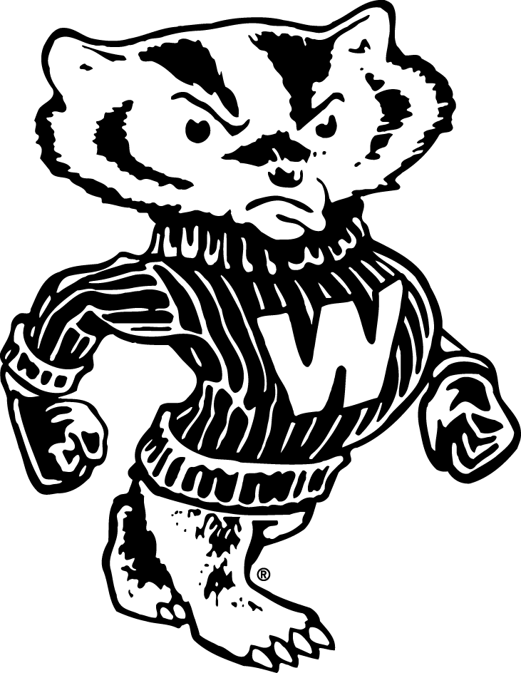 Wisconsin Badgers 1948-1969 Secondary Logo v2 diy iron on heat transfer